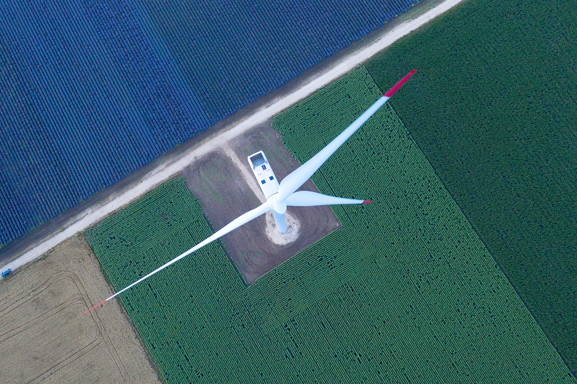 Memolub Wind Energy